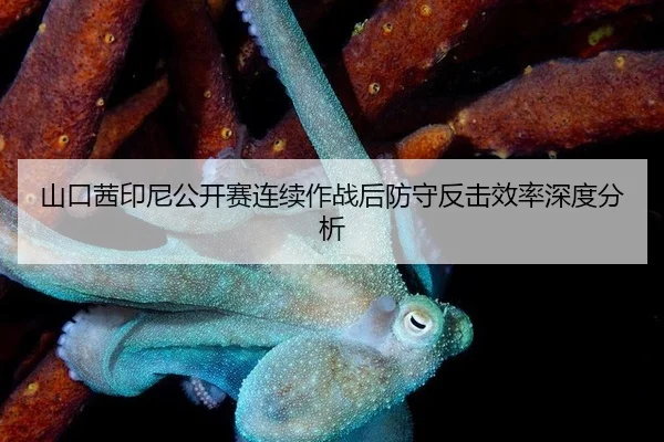 山口茜印尼公开赛连续作战后防守反击效率深度分析